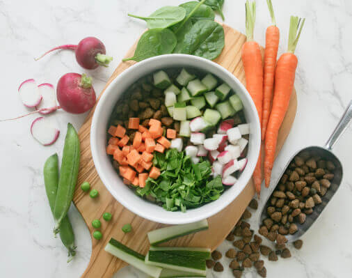 Blue Buffalo Springtime Bowl Recipe for Dogs - A bowl of vegetables and Blue Buffalo Life Protection Dog Food on a cutting board, showcasing a healthy and delicious meal option