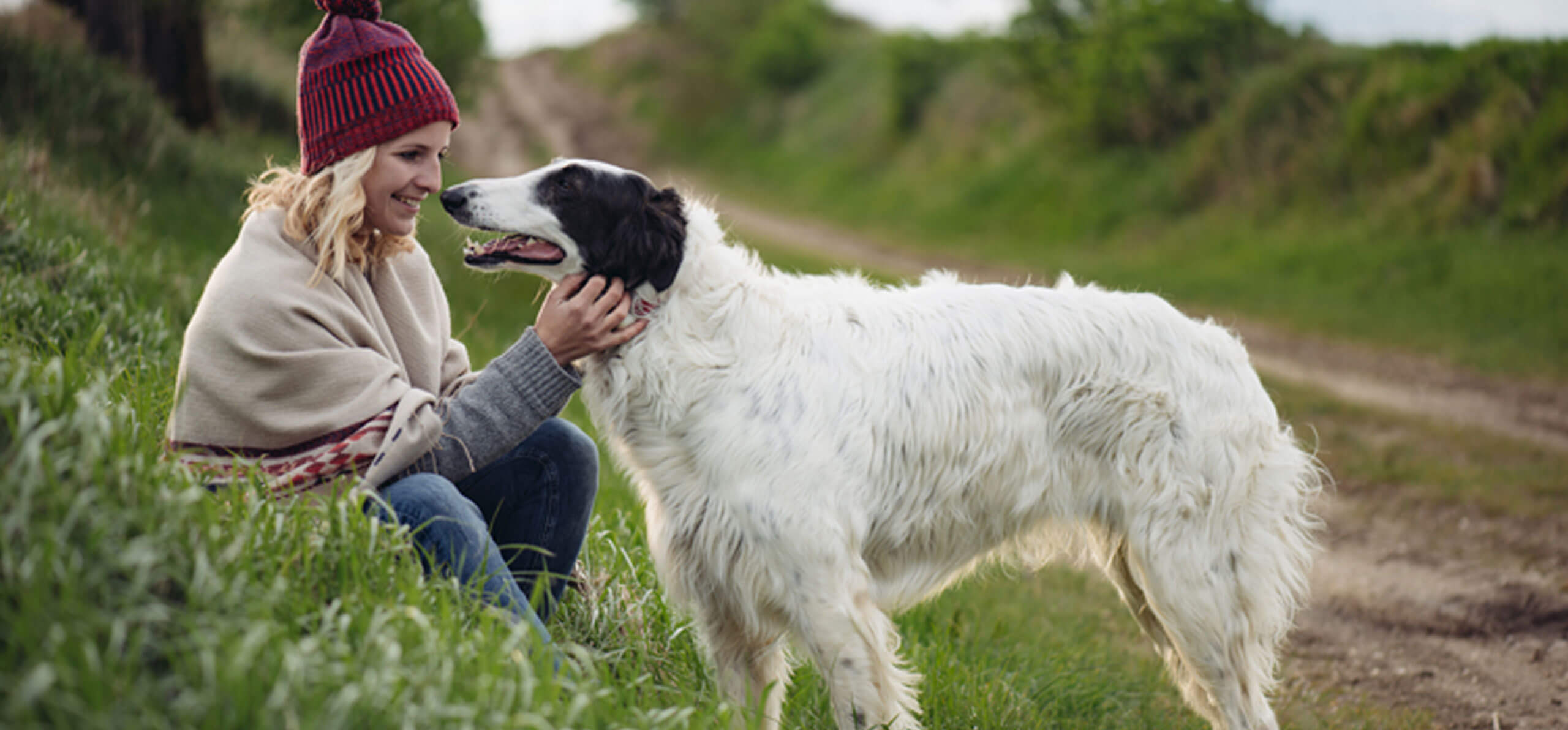 large dog being petted by owner