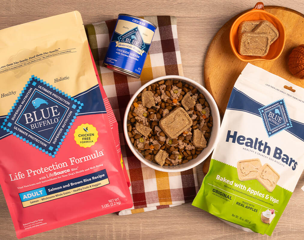 A dog-friendly meal sits in a bowl on a hand towel, surrounded by packages of BLUE Life Protection Formula, BLUE Homestyle Recipe, and BLUE Health Bars, along with autumnal decor.