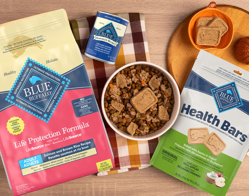 Build an Autumn Harvest Salmon Bowl for Your Dog