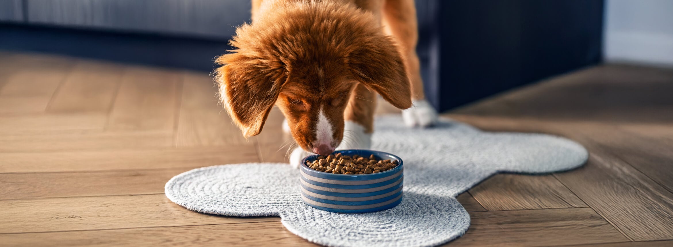 A fluffy caramel-colored puppy is eating Blue Buffalo kibble from their bowl on a bone-shaped dog mat.
