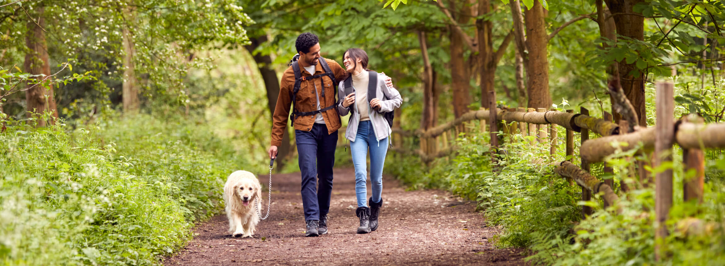 Dog Friendly National Parks