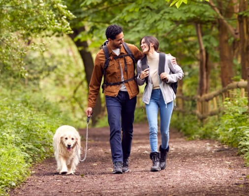 Dog Friendly National Parks