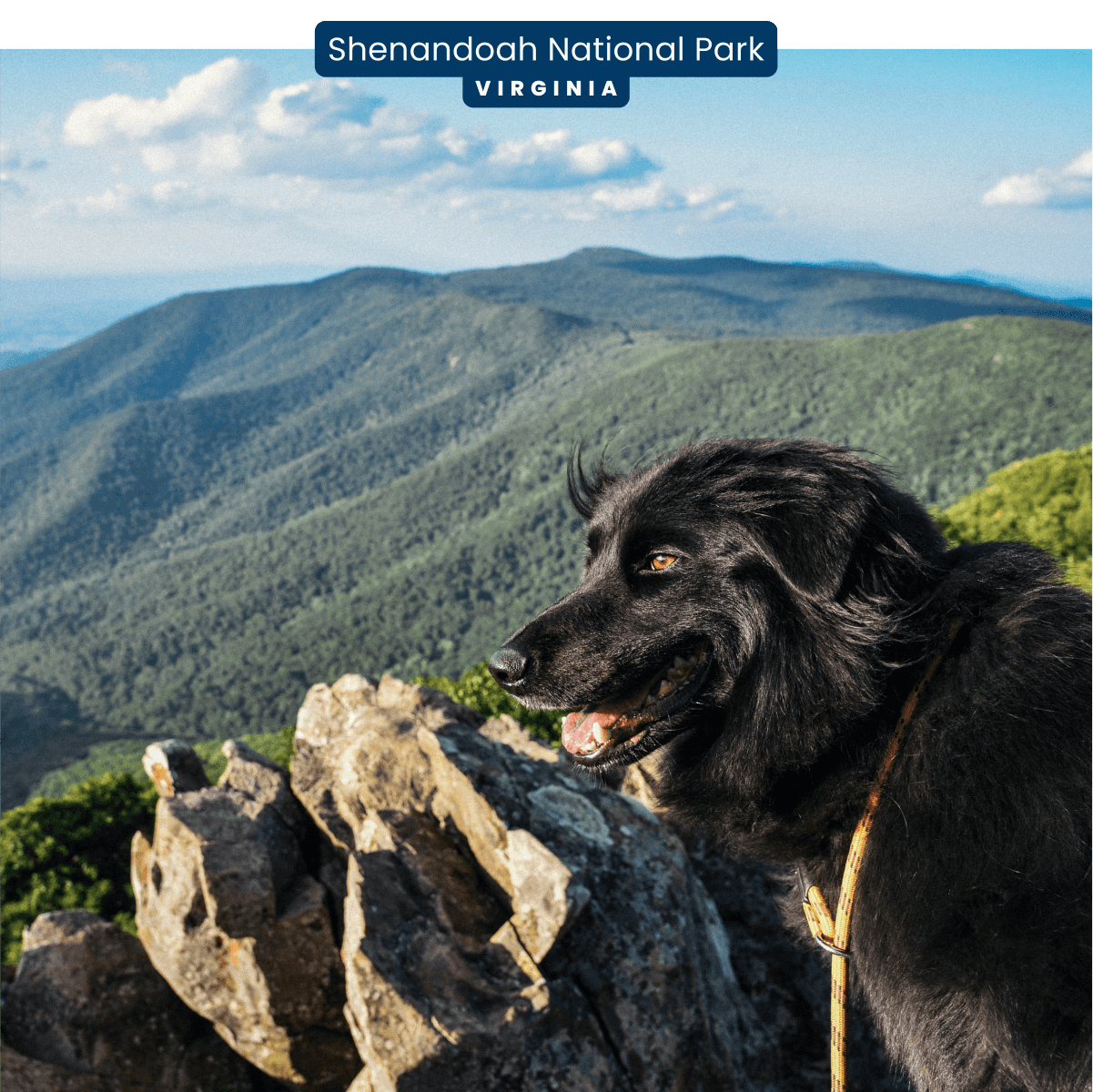 Shenandoah National Park — Virginia