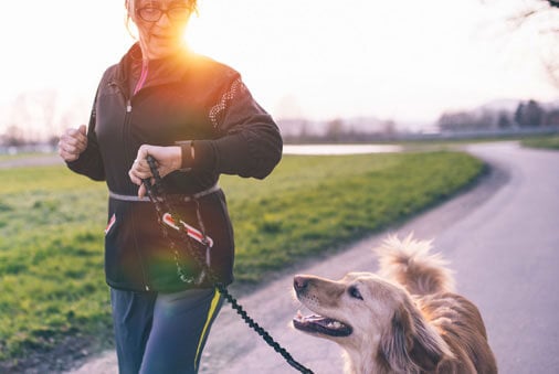 How to Keep Your Senior Dog Moving
