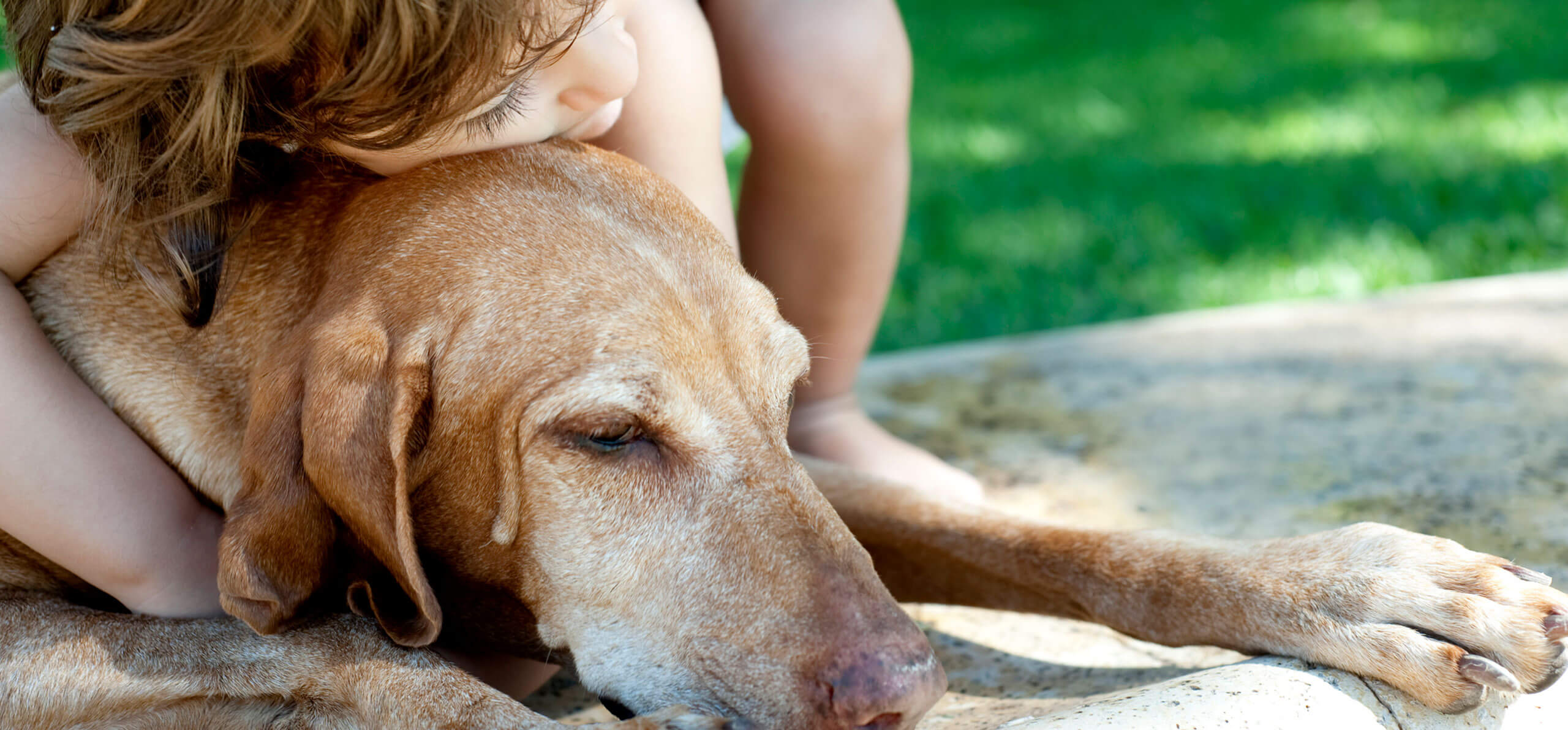 child bending over and hugging his laying dog