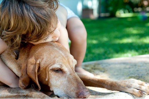 Child gently hugging a lying brown dog outdoors on a sunny day.