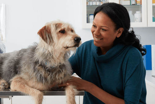 owner kneeled down comforting dog as it lays on a vet table