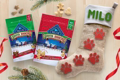 decorated stocking with snack bags of dog food