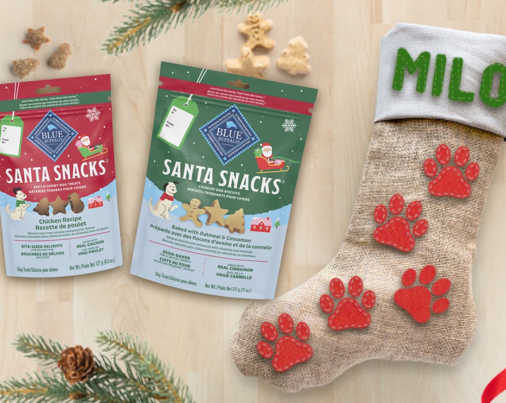 5 Simple Steps for a DIY Doggy Stocking  