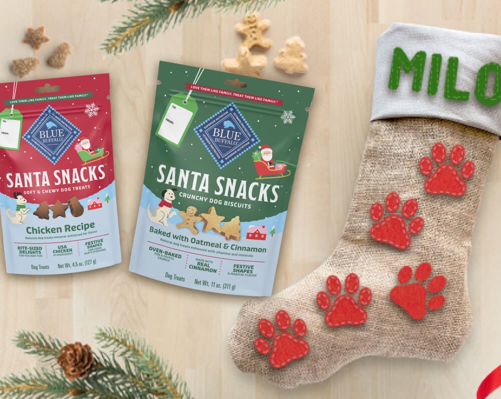5 Simple Steps for a DIY Doggy Stocking  