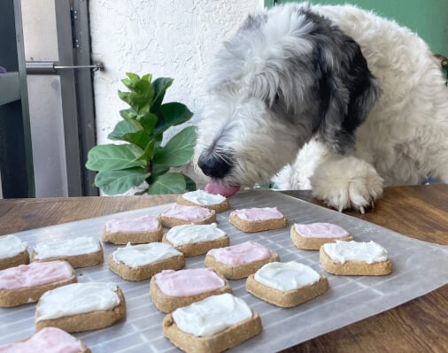 How to Make Frosting That’s Safe for Dogs 