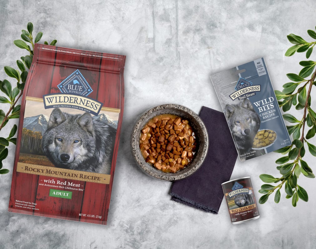 Make a Savory Stew for Your Dog