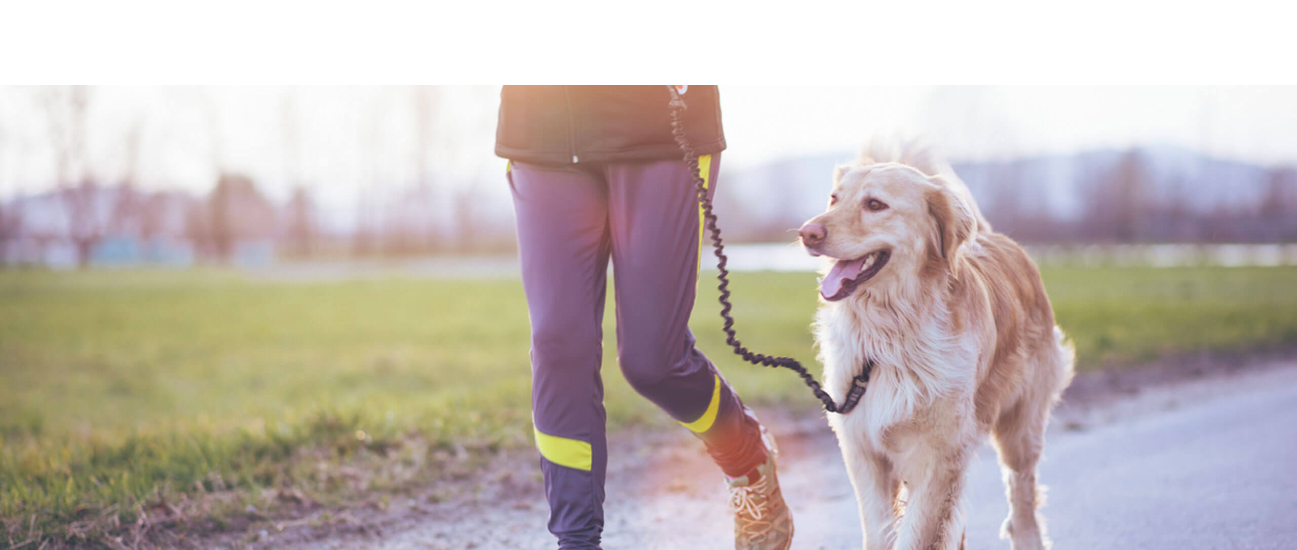 dog smiling on a run