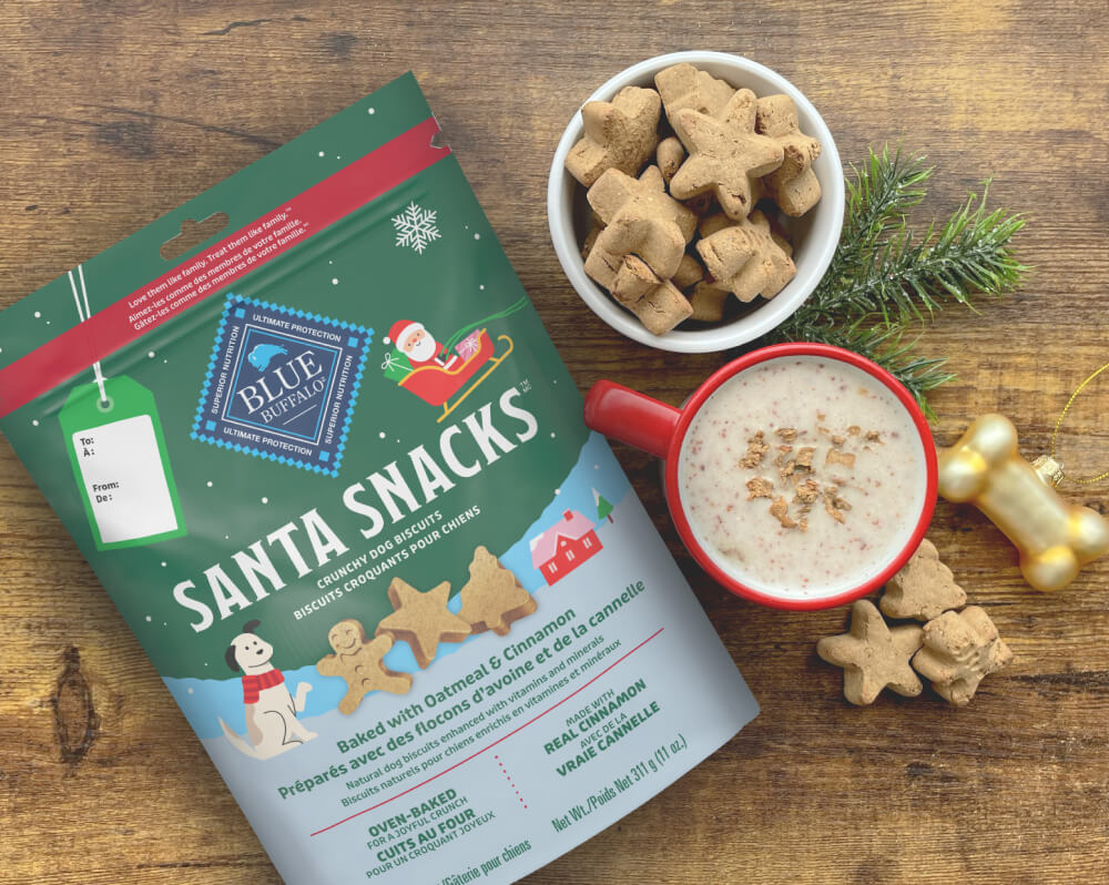 Pup-Safe Gingerbread “Latte” Recipe