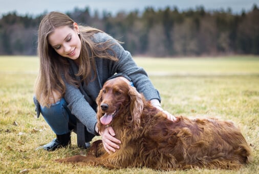 Seven Signs Your Dog is Aging
