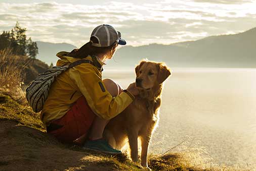 Can I go Hiking with my Dog? | Dog Hiking Tips
