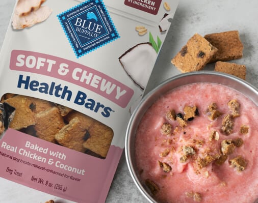 Test Out this Pup-Safe Watermelon Smoothie Recipe