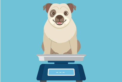 cartoon dog on weight scale