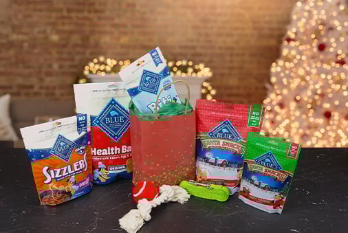 snack bags of dog food and toys with Christmas decorations in the background