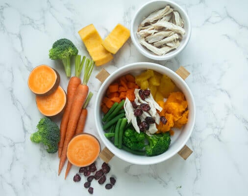 Dog-Safe Thanksgiving Foods