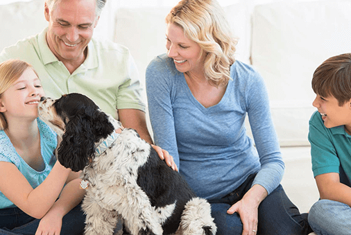 Dog with family