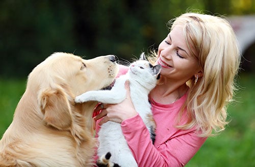 5 Reasons to Adopt a Shelter Dog or Cat