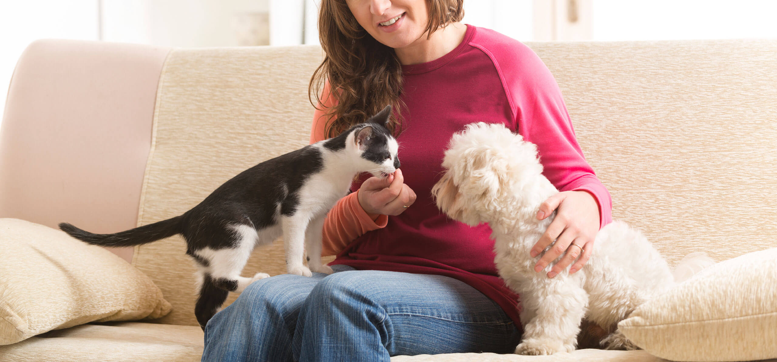 dog and cat sitting beside owner