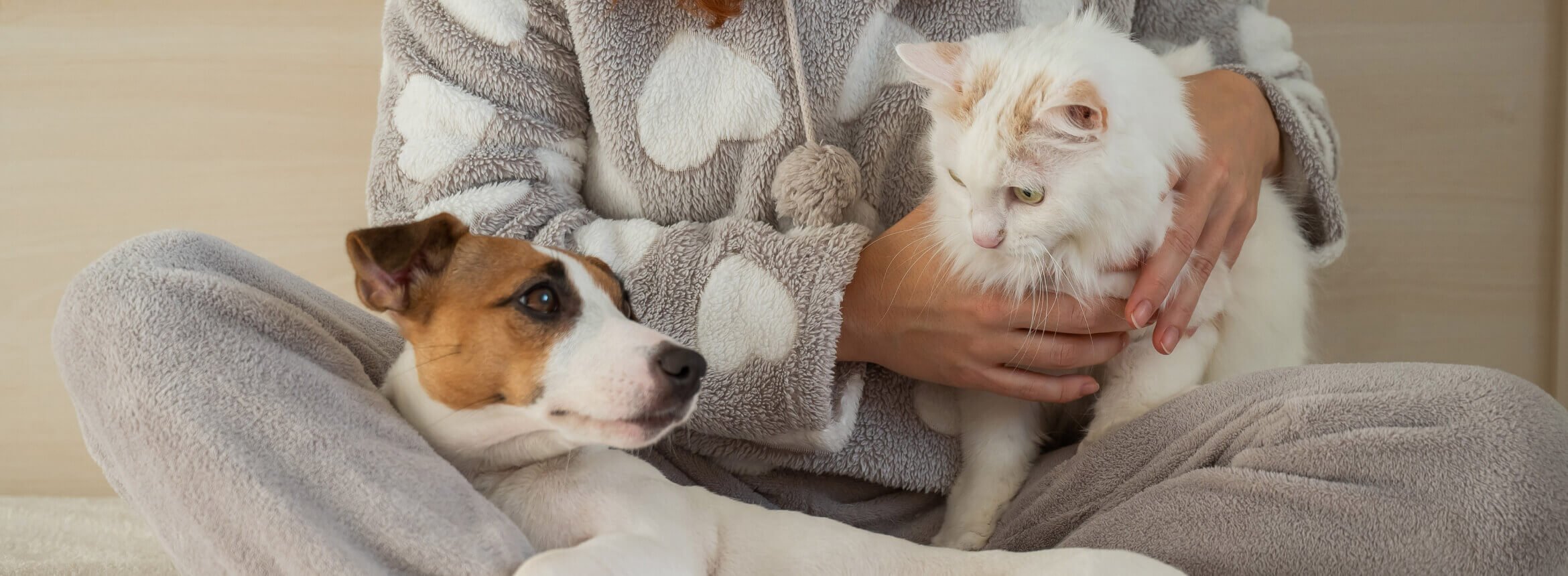 A human holding cat and dog