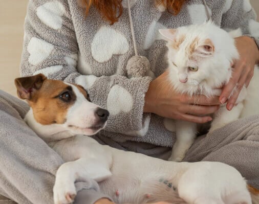 How Do Pets Help Our Mental Health?
