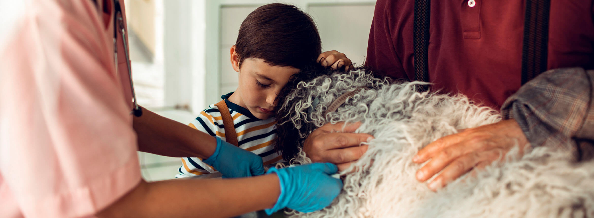 image of boy holding dog with parents in background