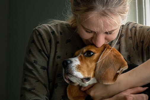 10 Steps to Take When Your Pet Has Cancer  