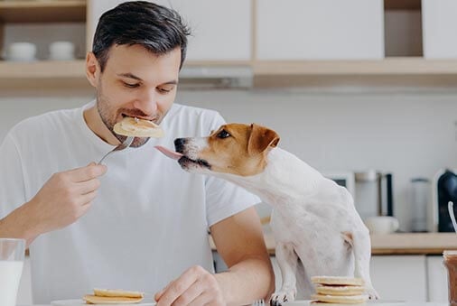 7 Human Foods to Avoid Feeding Your Pets 