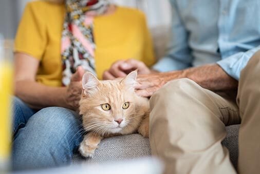Pet-Proofing Tips for Pet Grandparents