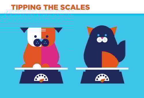 Is your Dog or Cat Overweight? What you need to know.