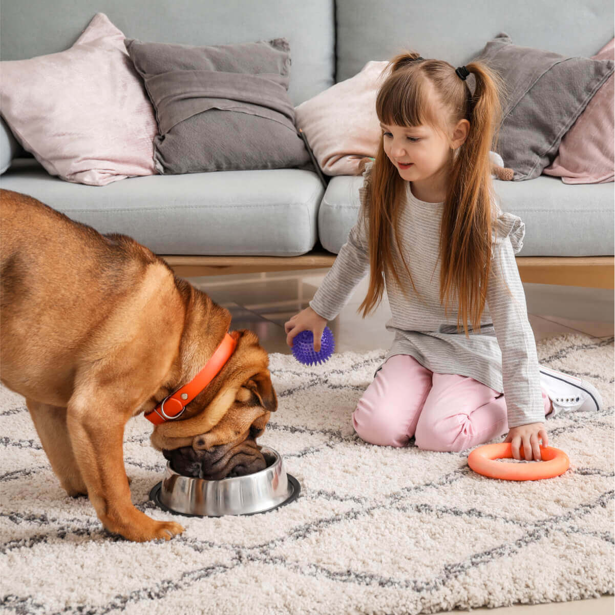 Small girl with her dog