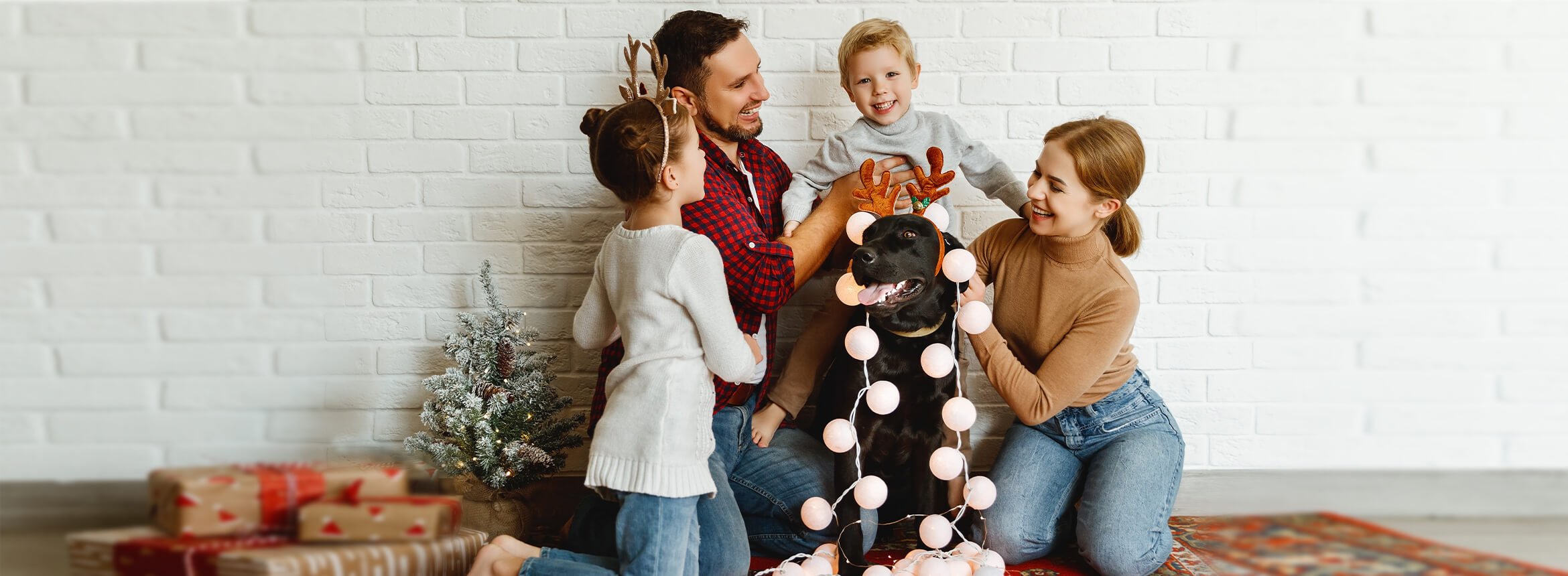 dog being decorated with Christmas decorations by family