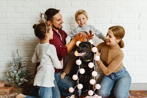 Is Your Pet Your Plus One? 