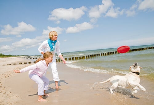 A woman and a girl play fetch with a dog on a sandy beach under a partly cloudy sky.