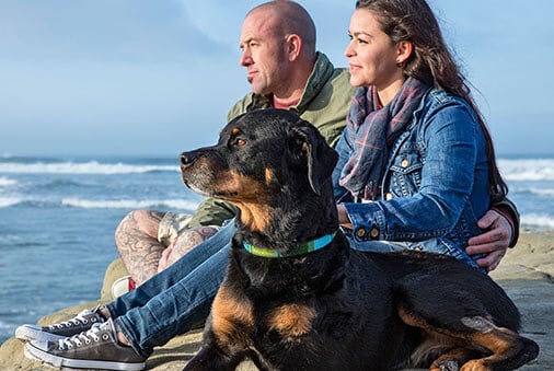 How to Spot the Signs and Symptoms of Cancer in Your Pet