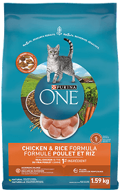 Blue bag of Purina ONE cat food, Chicken & Rice Formula, featuring chicken, rice, carrots, and a cat.