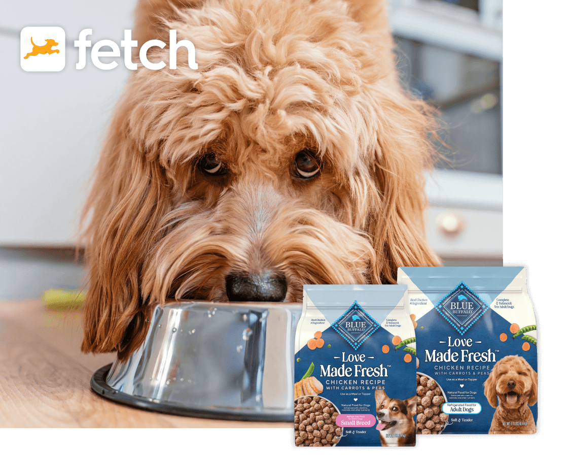 Fluffy dog eating from a metal bowl beside two Blue Buffalo Love Made Fresh chicken recipe dog food bags