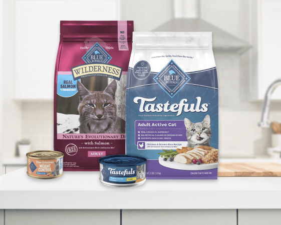 Blue Buffalo Wilderness and Tastefuls dry cat food bags with matching wet food cans on a kitchen counter
