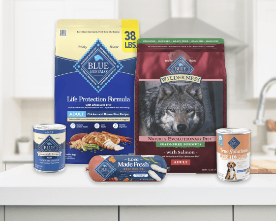 Assortment of Blue Buffalo dog foods, including Life Protection, Wilderness salmon, True Solutions Weight Control and wet rolls and cans