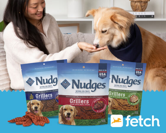 A yellow dog takes a treat from a woman's hand behind three bags of BLUE Nudges dog treats. 