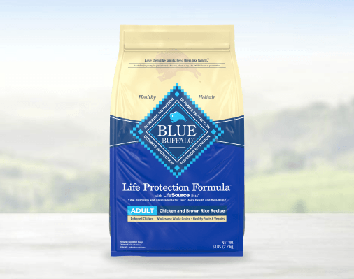 A bag of BLUE Life Protection Formula dog food is pictured against a neutral, outdoor background. 