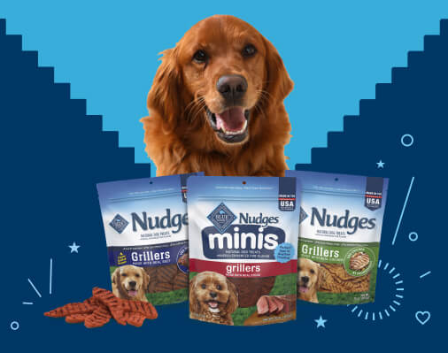 A brown and white dog is shown being fed treats and pictured with 3 bags of BLUE Nudges dog treats.