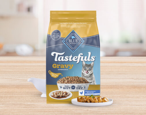 A bag of BLUE Tastefuls Gravy is pictured on a countertop. 