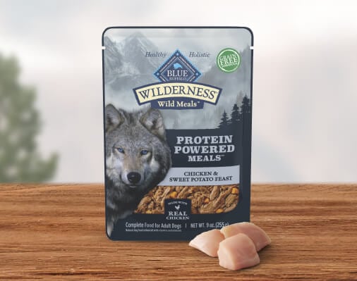 Wilderness canned dog food is pictured on a wooden surface. 