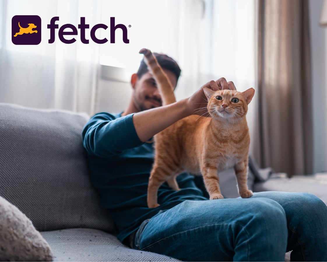 Man on gray couch petting an orange cat that is standing in his lap and looking at the camera 